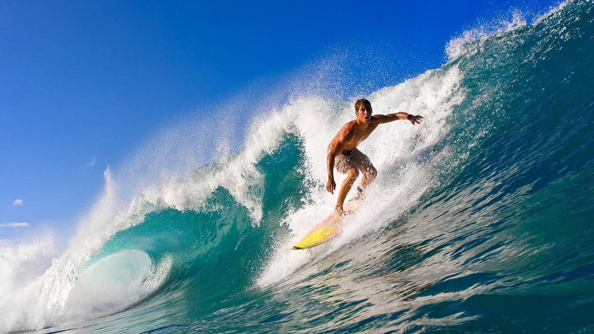 车队战术大揭秘：如何制定最佳比赛策略？，车队比赛视频